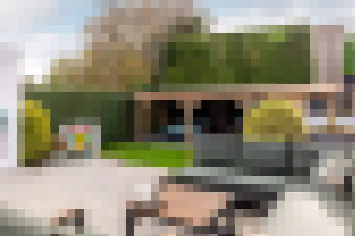 Molendijk 15 Rockanje thumbnail 40