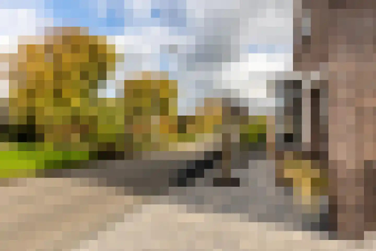Molendijk 15 Rockanje thumbnail 8
