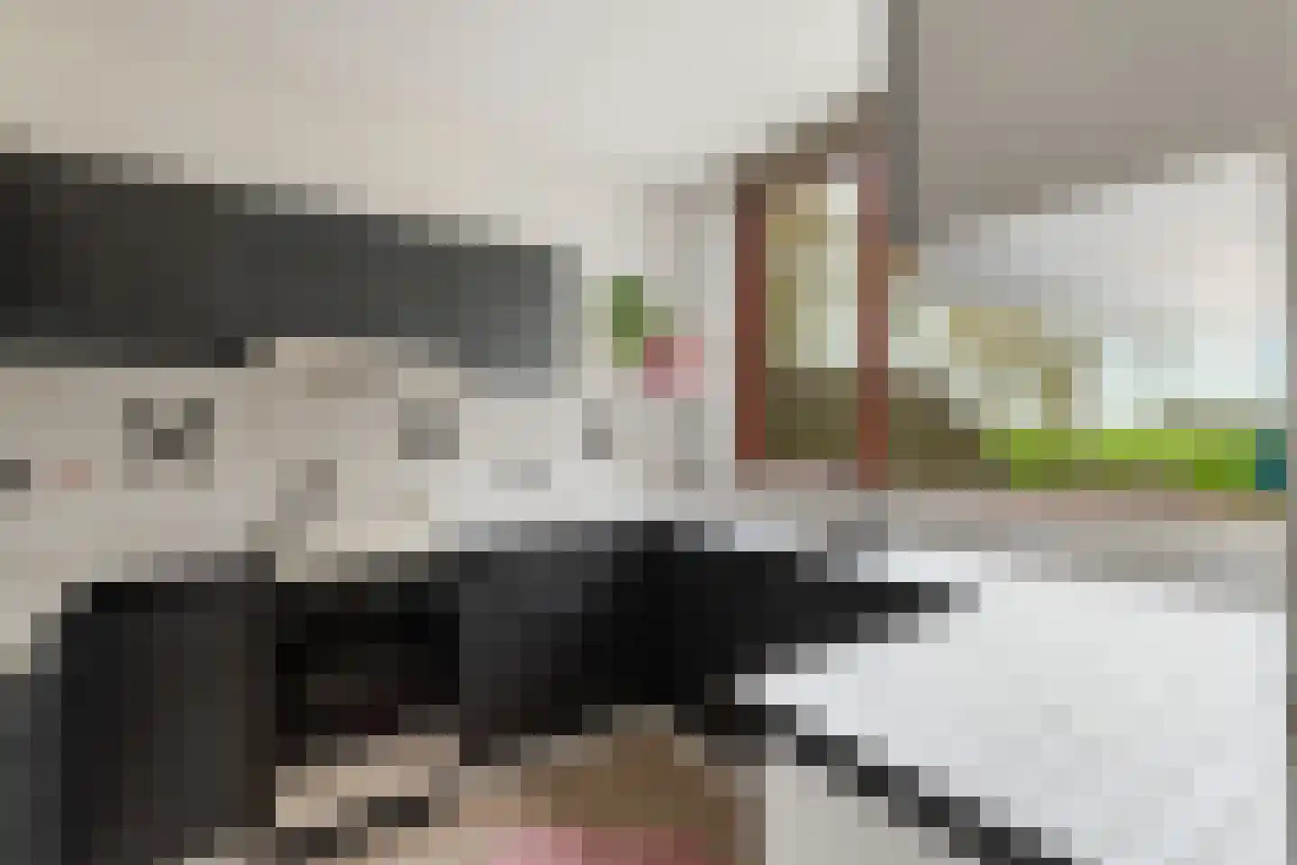 Molendijk 16 Waarder thumbnail 13
