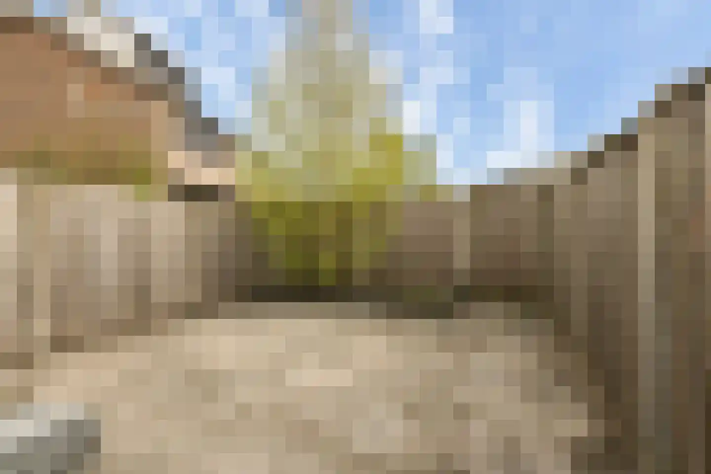 Molendijk 16 Waarder thumbnail 17