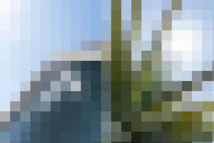 Molendijk 17 Numansdorp thumbnail 22