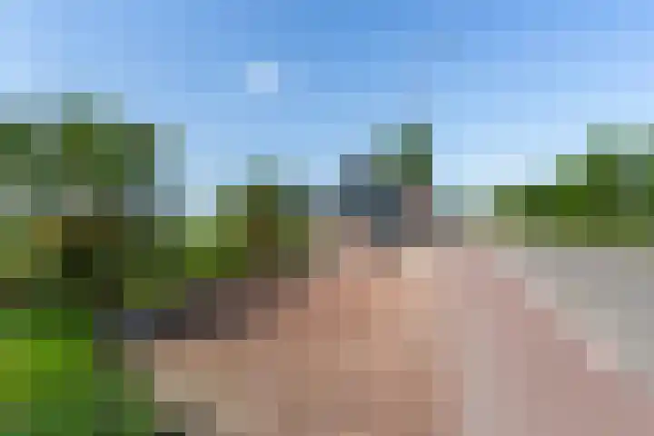 Molendijk 17 Numansdorp thumbnail 24