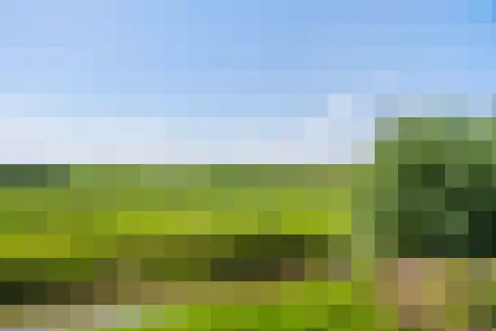 Molendijk 17 Numansdorp thumbnail 25