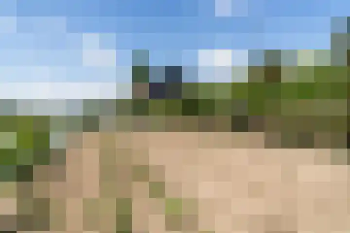 Molendijk 17 Numansdorp thumbnail 31