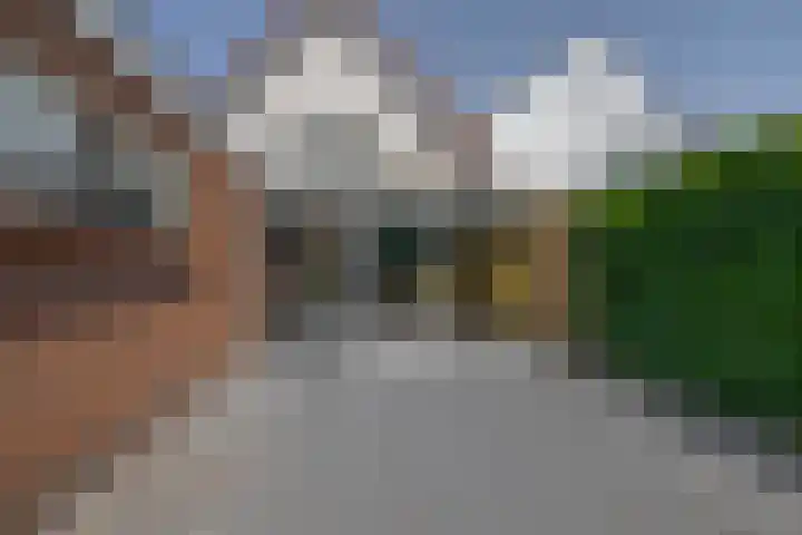 Molendijk 17 Ooltgensplaat thumbnail 31
