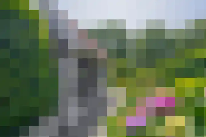 Molendijk 17 Ooltgensplaat thumbnail 33