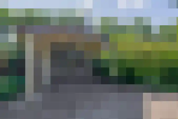 Molendijk 17 Ooltgensplaat thumbnail 38