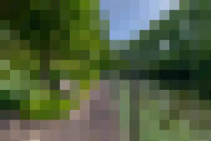 Molendijk 17 Ooltgensplaat thumbnail 39