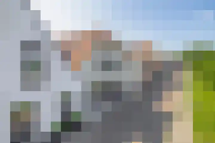 Molendijk 17 Ooltgensplaat thumbnail 4