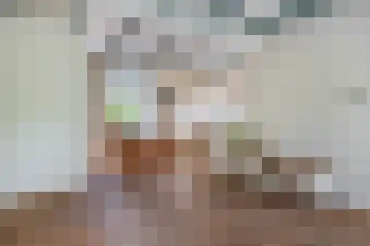 Molendijk 18 Krimpen aan de Lek thumbnail 11