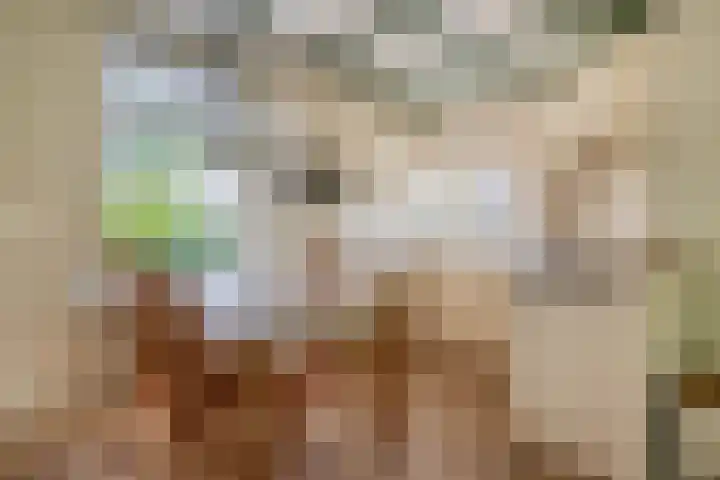 Molendijk 18 Krimpen aan de Lek thumbnail 14