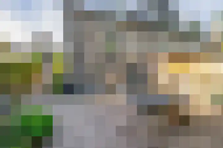 Molendijk 18 Krimpen aan de Lek thumbnail 18