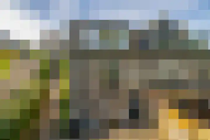 Molendijk 18 Krimpen aan de Lek thumbnail 19