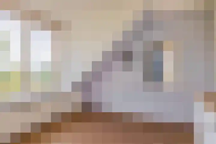Molendijk 18 Krimpen aan de Lek thumbnail 21
