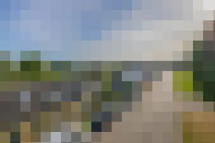 Molendijk 18 Krimpen aan de Lek foto 3