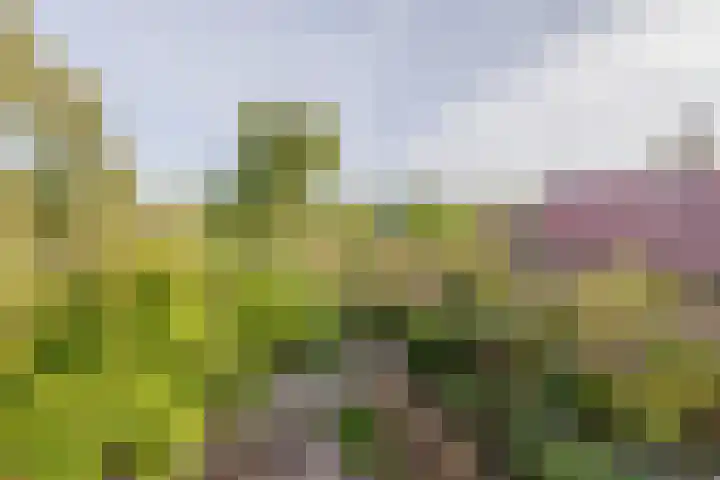 Molendijk 18 Krimpen aan de Lek thumbnail 30