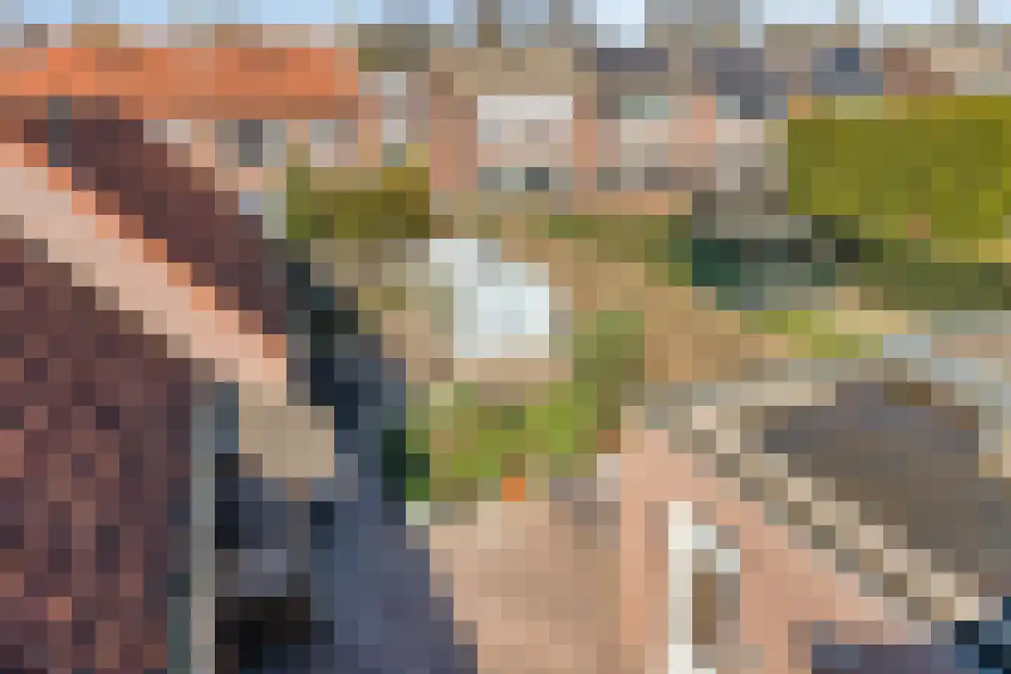 Molendijk 19 's Gravenmoer thumbnail 35