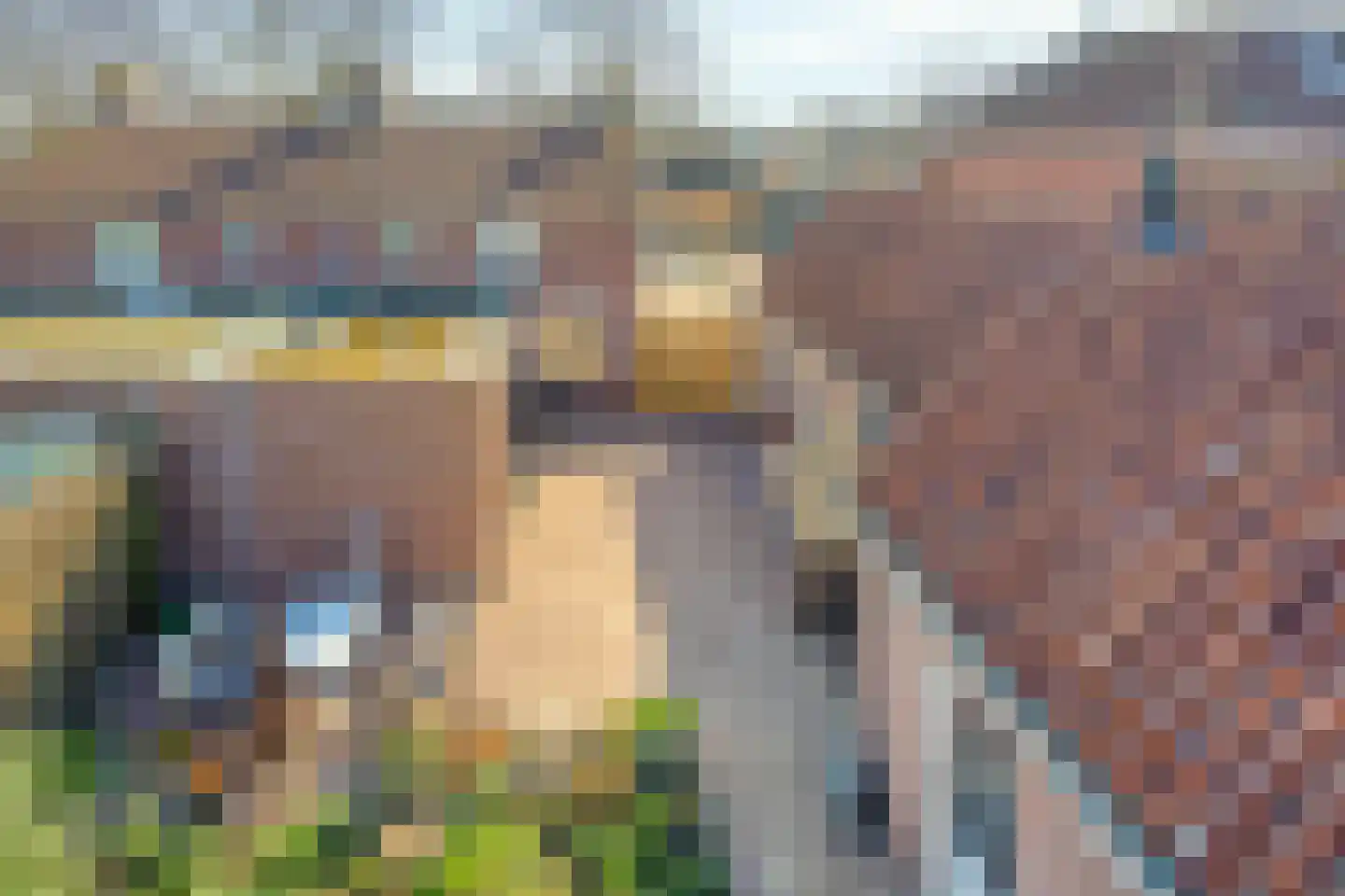 Molendijk 19 's Gravenmoer thumbnail 36