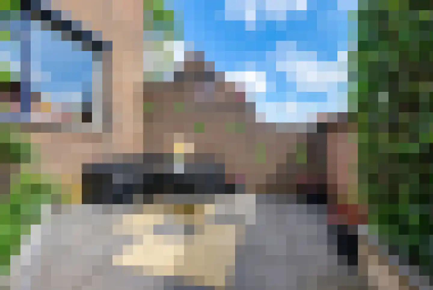Molendijk 19 Stad aan 't Haringvliet thumbnail 12