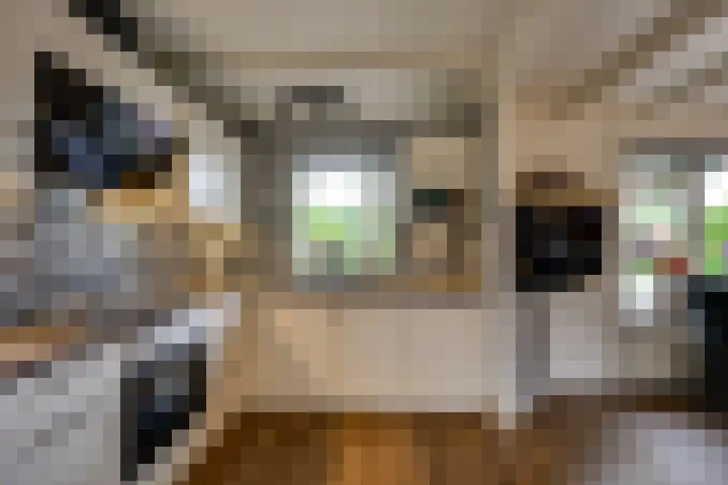 Molendijk 19 Stad aan 't Haringvliet thumbnail 14
