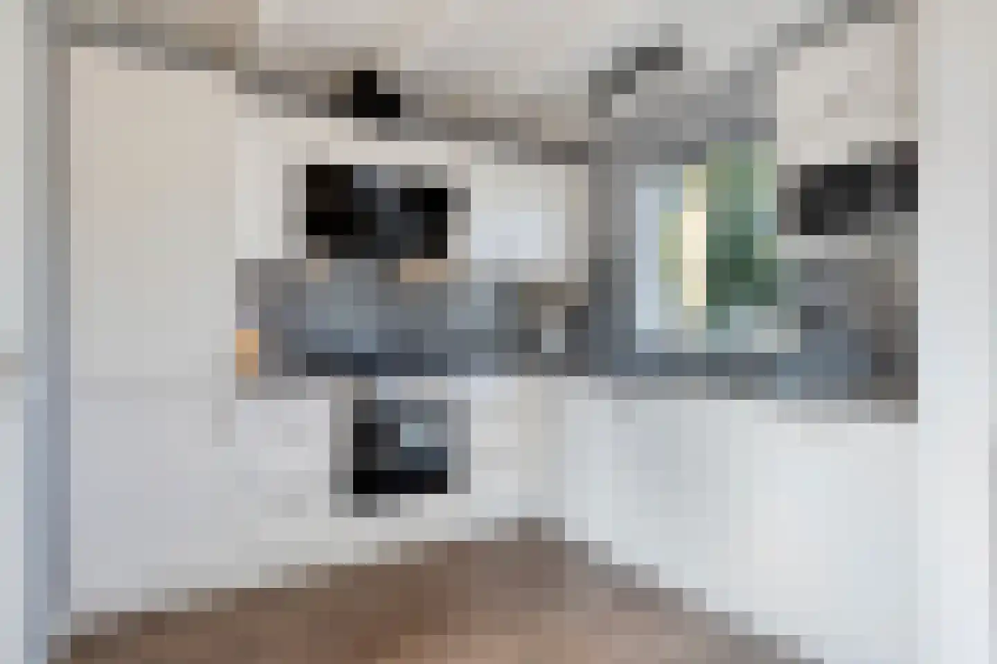 Molendijk 19 Stad aan 't Haringvliet thumbnail 15