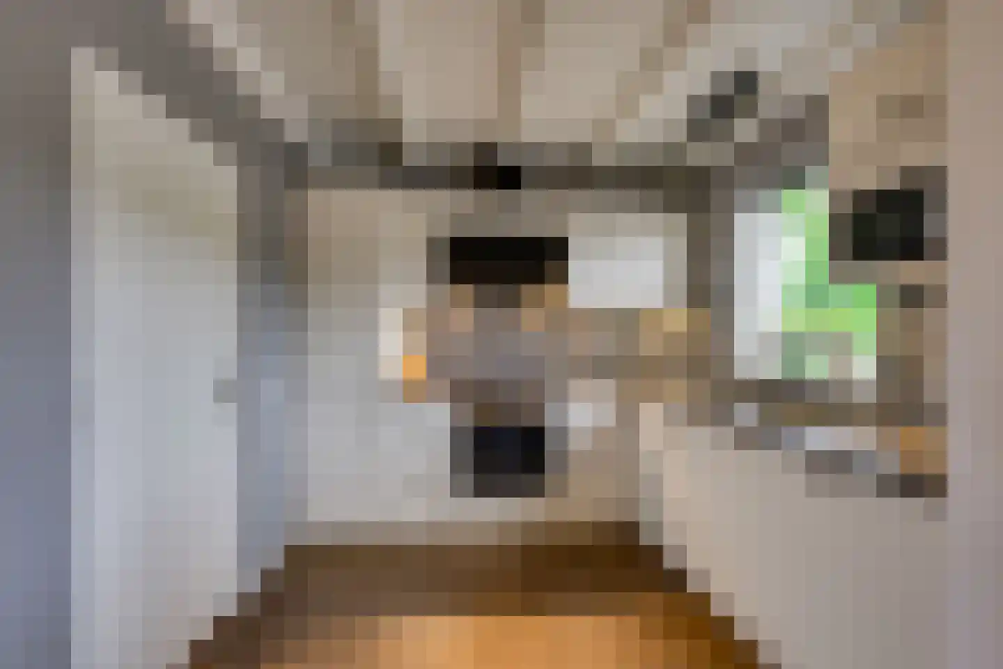 Molendijk 19 Stad aan 't Haringvliet thumbnail 16