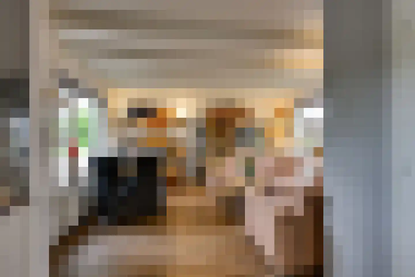 Molendijk 19 Stad aan 't Haringvliet thumbnail 18
