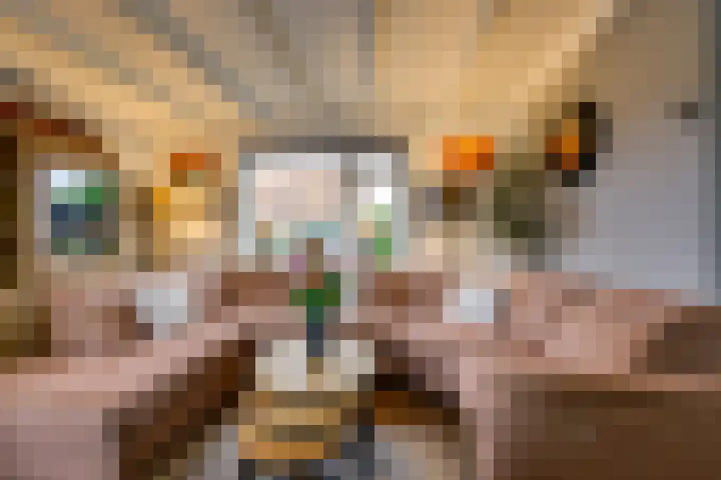 Molendijk 19 Stad aan 't Haringvliet thumbnail 20