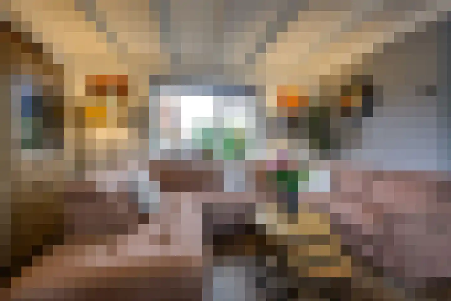 Molendijk 19 Stad aan 't Haringvliet thumbnail 21
