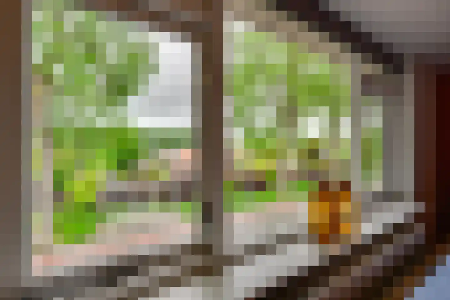 Molendijk 19 Stad aan 't Haringvliet thumbnail 23