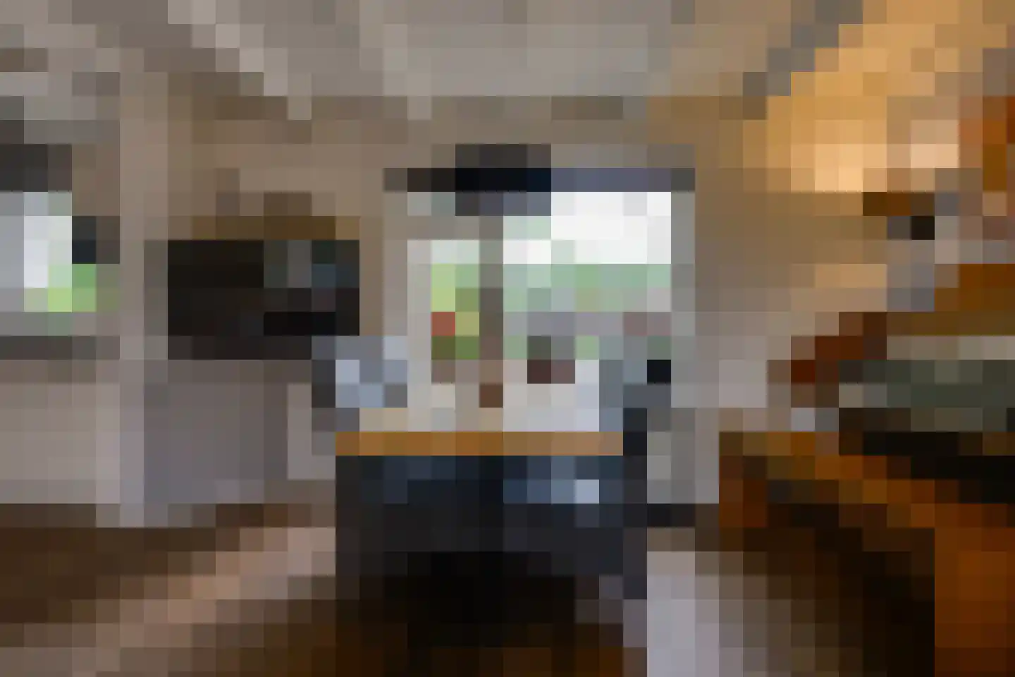 Molendijk 19 Stad aan 't Haringvliet thumbnail 23