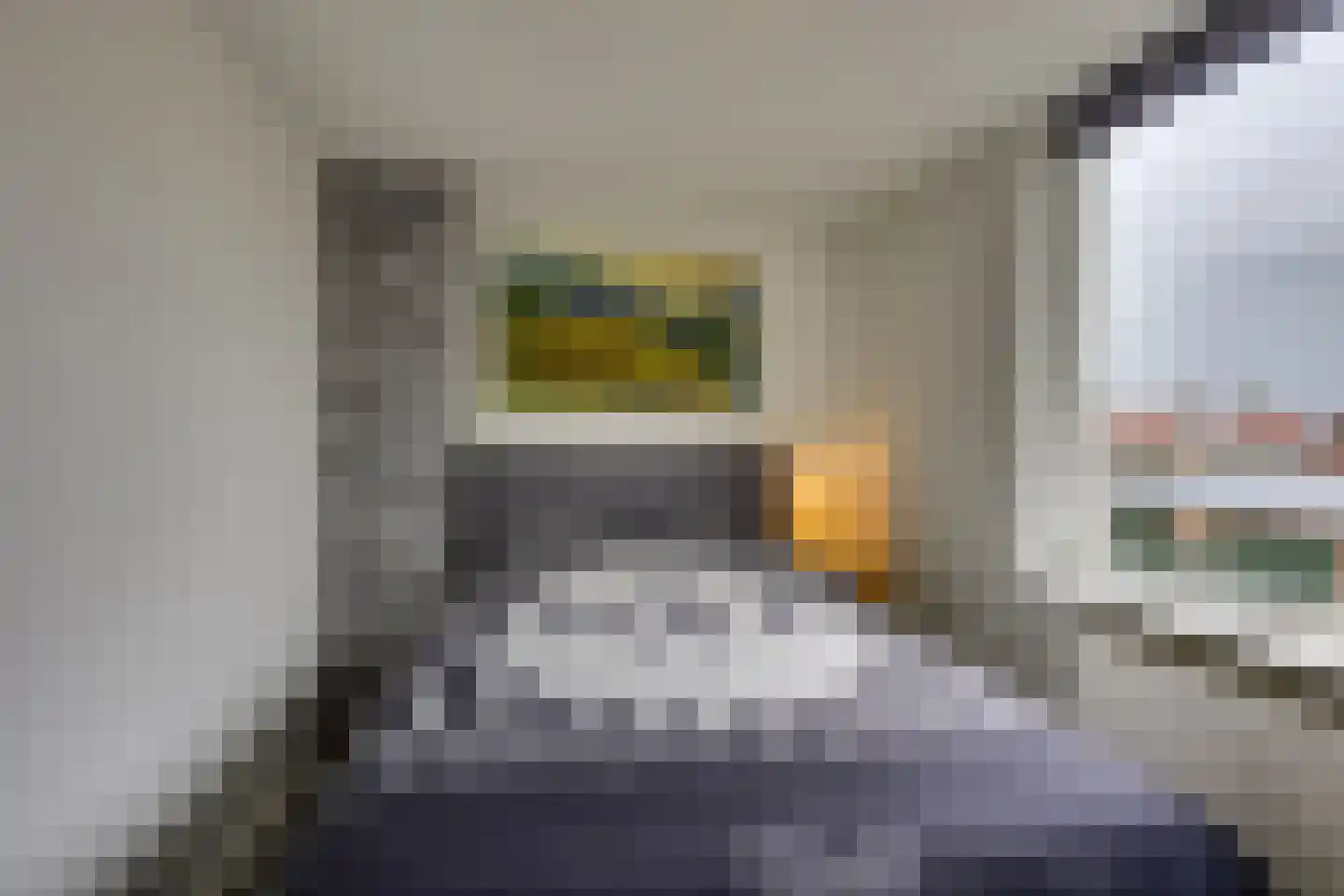 Molendijk 19 Stad aan 't Haringvliet thumbnail 24