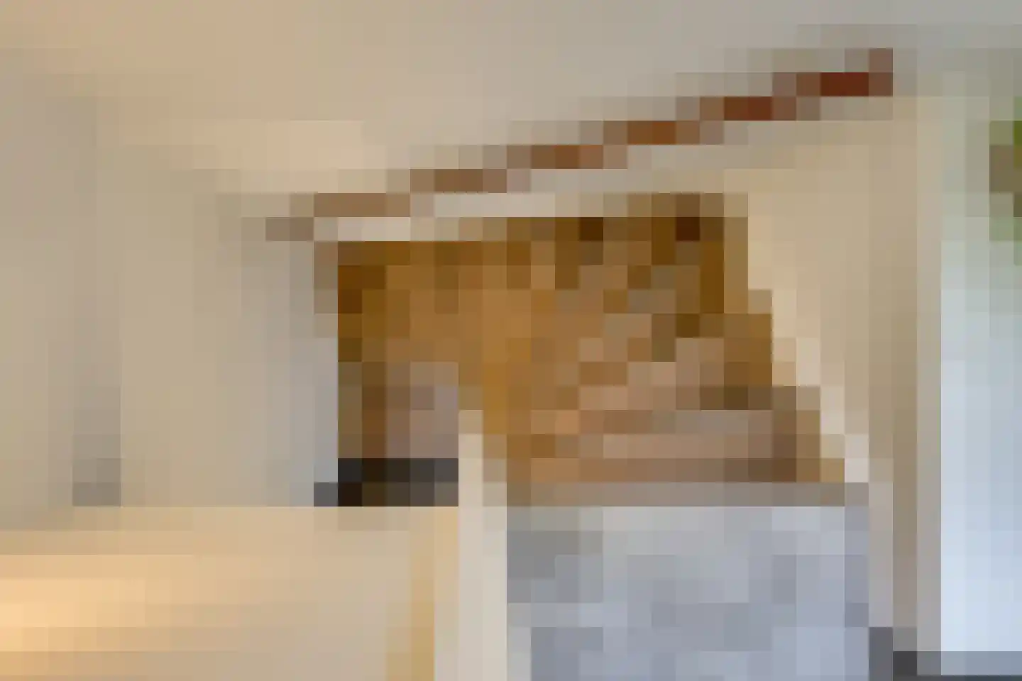 Molendijk 19 Stad aan 't Haringvliet thumbnail 25