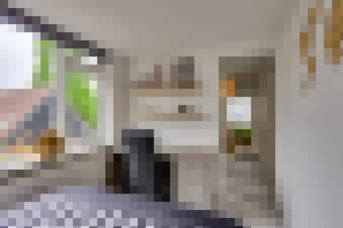Molendijk 19 Stad aan 't Haringvliet thumbnail 25