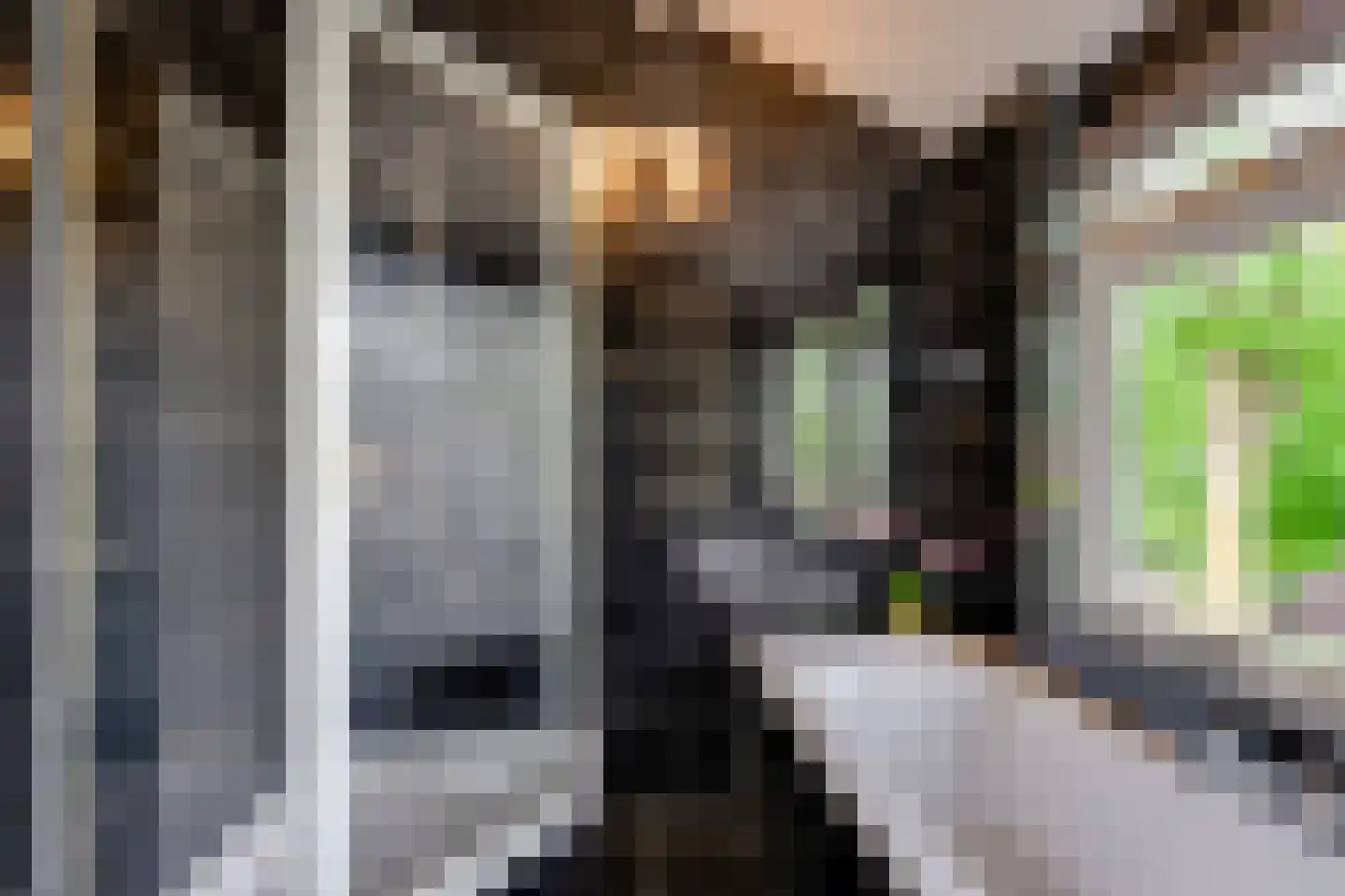Molendijk 19 Stad aan 't Haringvliet thumbnail 29