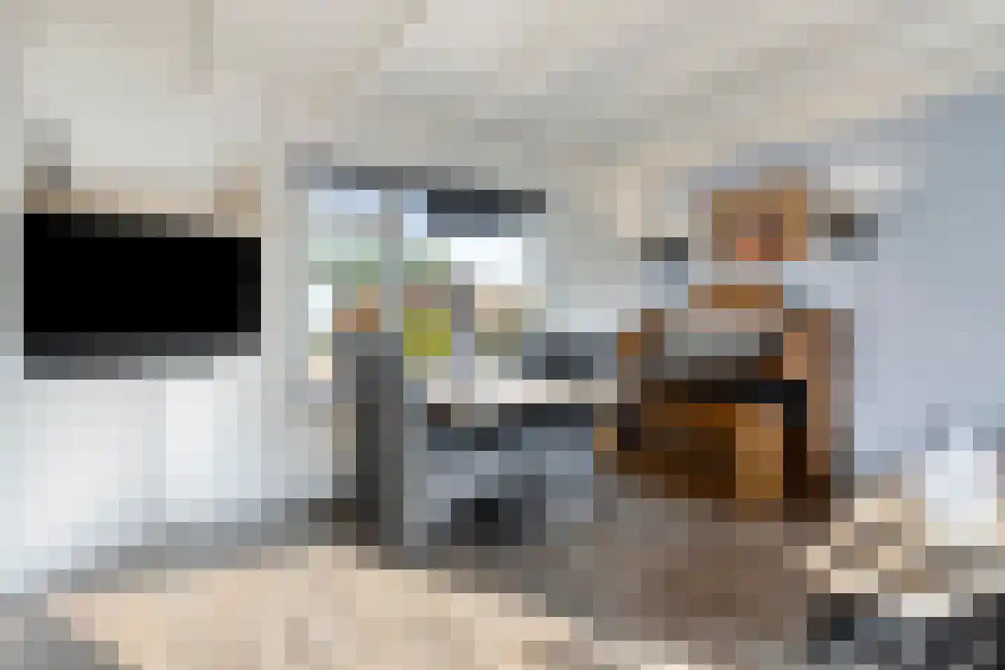 Molendijk 19 Stad aan 't Haringvliet thumbnail 35