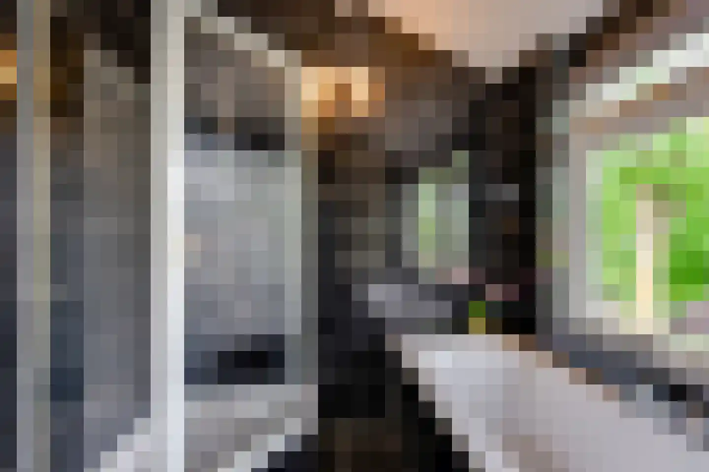 Molendijk 19 Stad aan 't Haringvliet thumbnail 36
