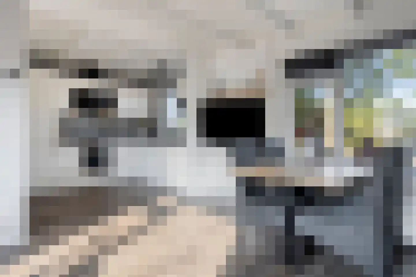 Molendijk 19 Stad aan 't Haringvliet thumbnail 38