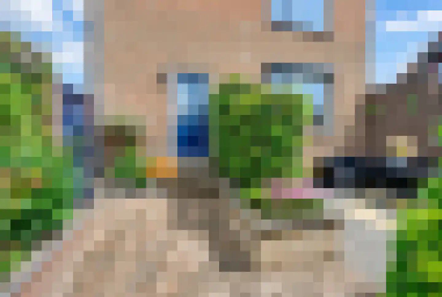 Molendijk 19 Stad aan 't Haringvliet thumbnail 4