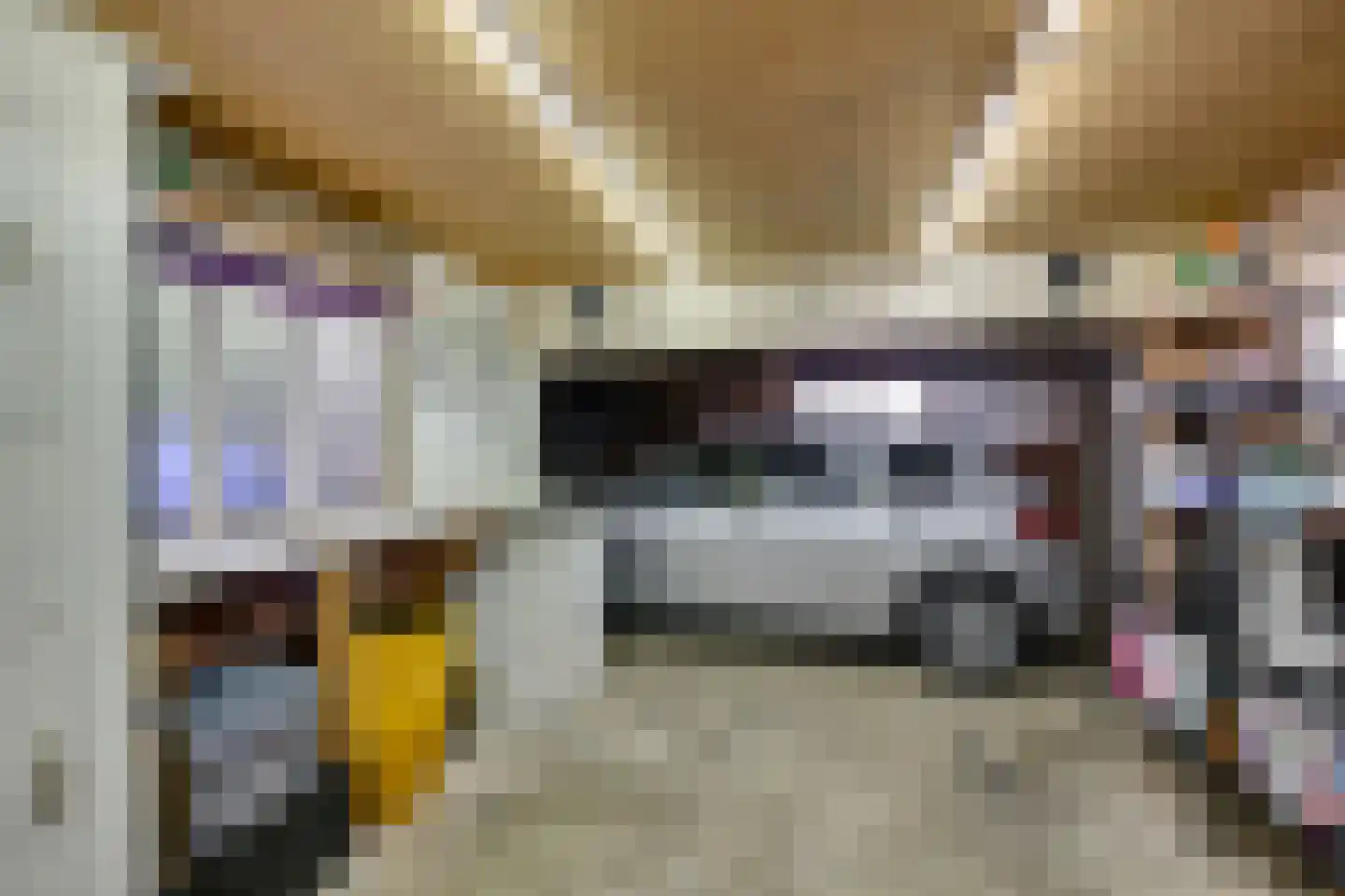 Molendijk 19 Stad aan 't Haringvliet thumbnail 42
