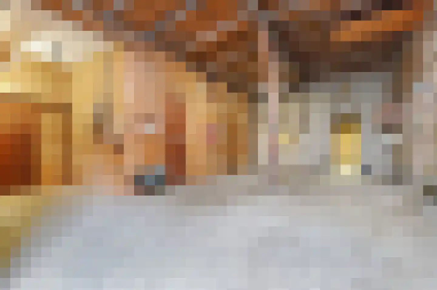 Molendijk 2 Den Bommel thumbnail 19