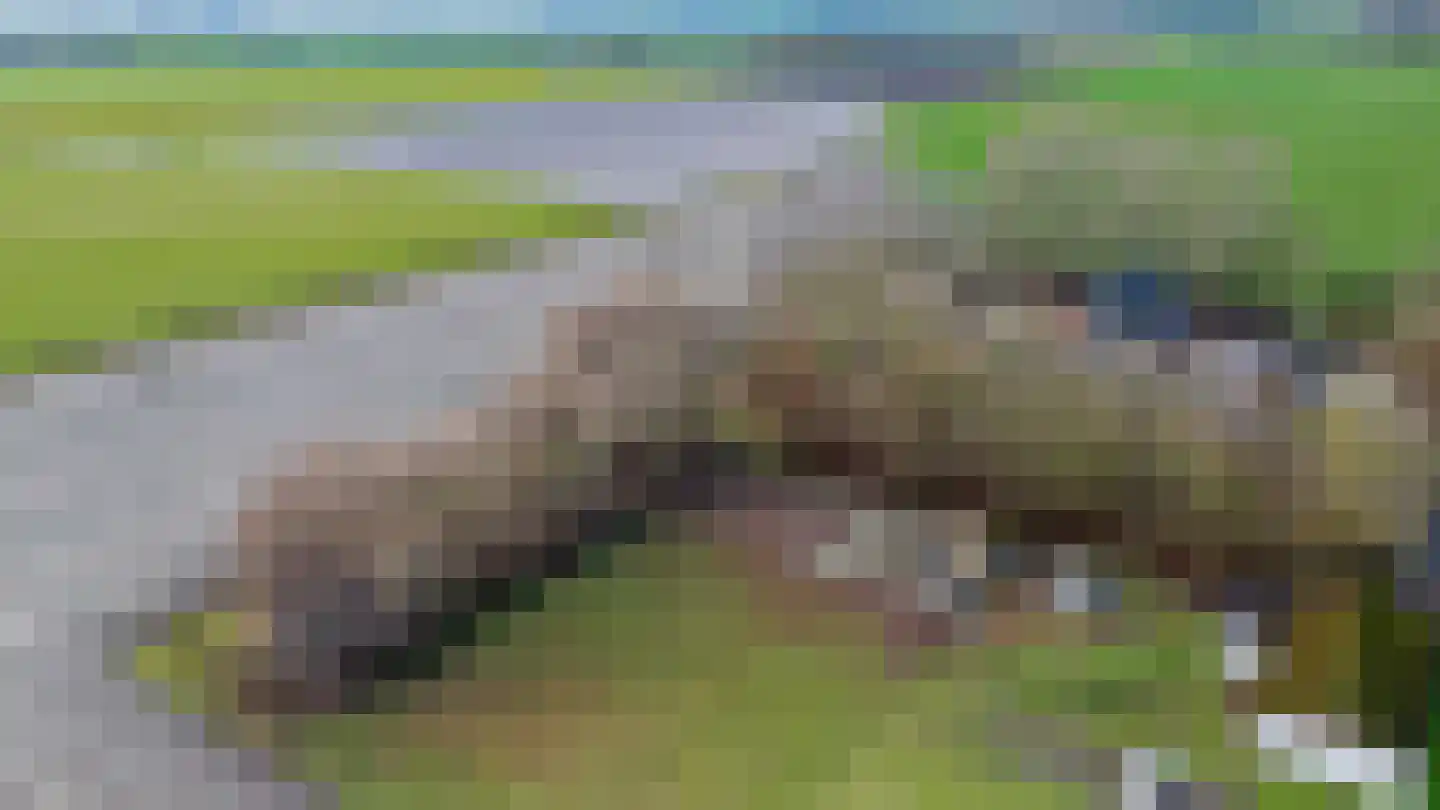 Molendijk 2 Den Bommel thumbnail 25