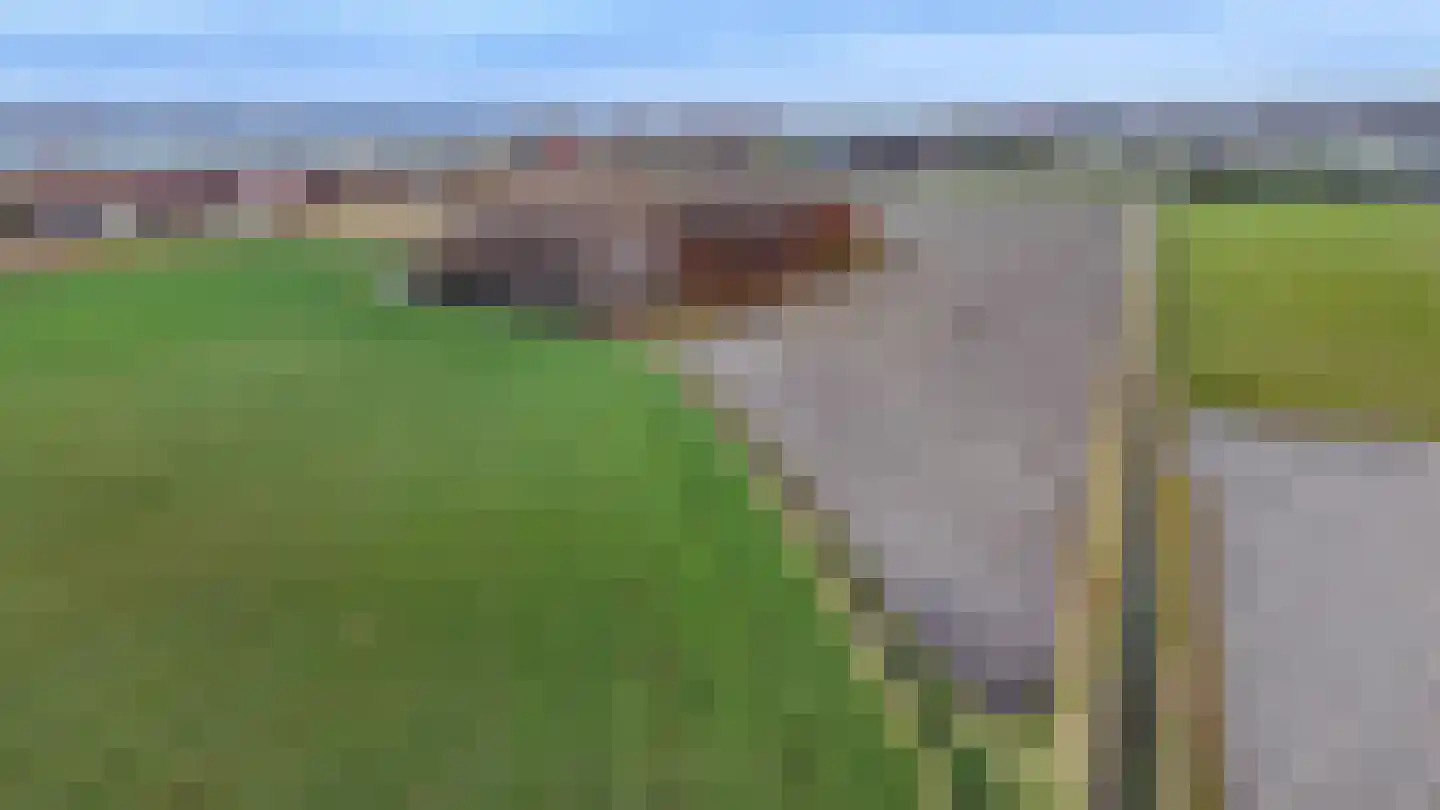 Molendijk 2 Den Bommel thumbnail 31
