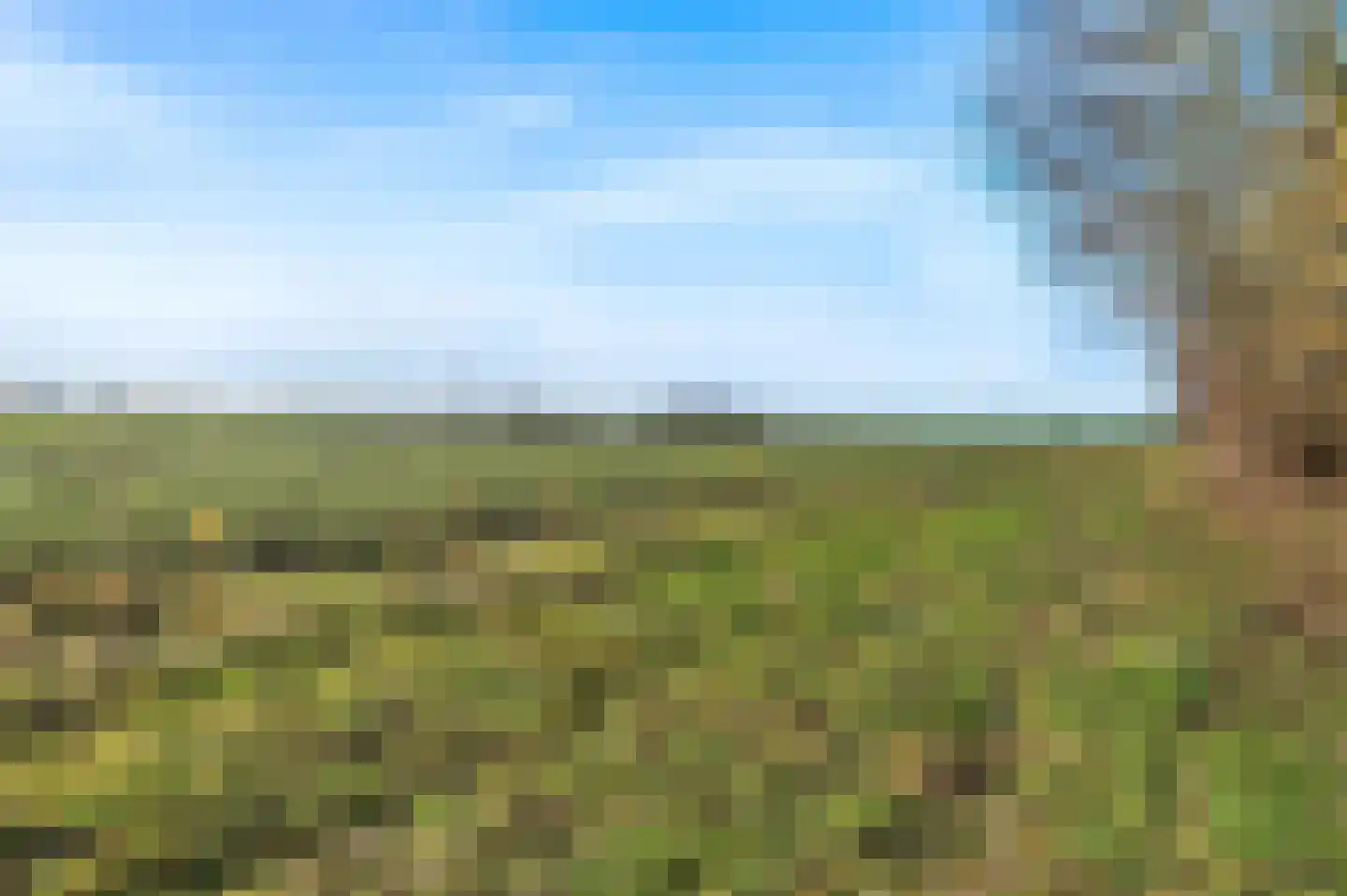 Molendijk 2 Den Bommel thumbnail 32