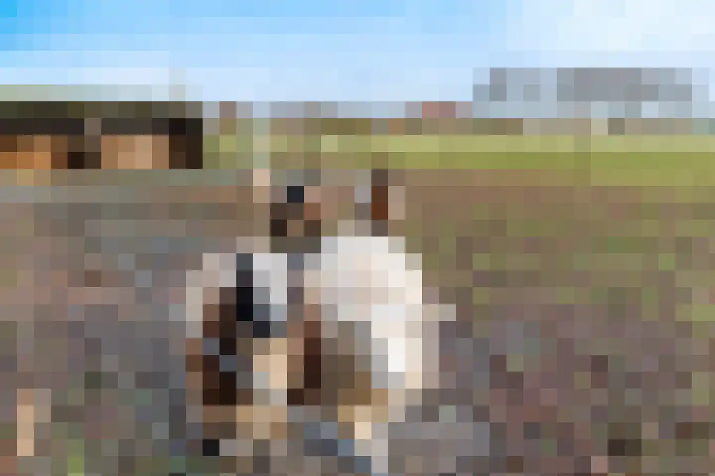 Molendijk 2 Den Bommel thumbnail 38