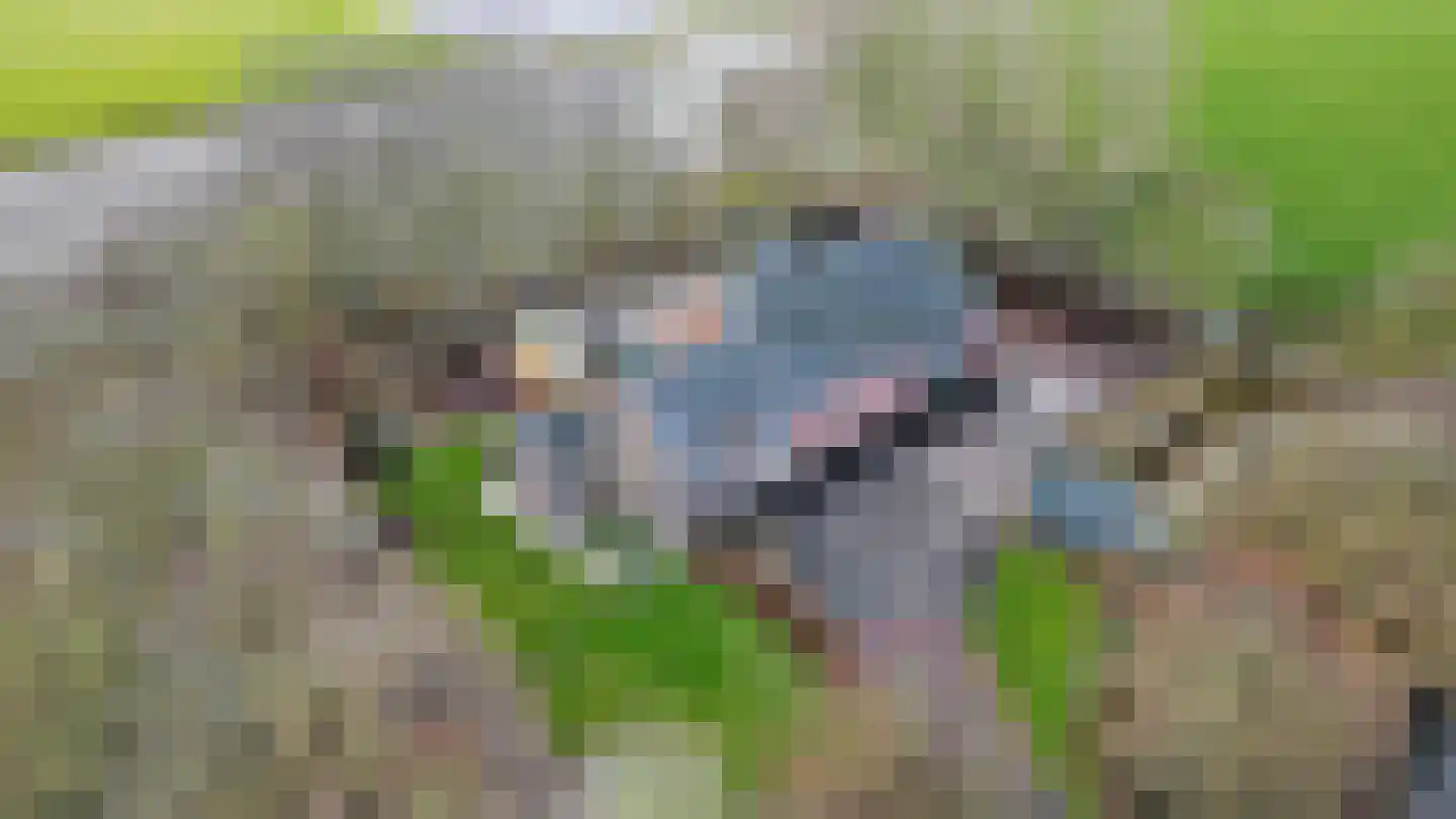 Molendijk 2 Den Bommel thumbnail 4