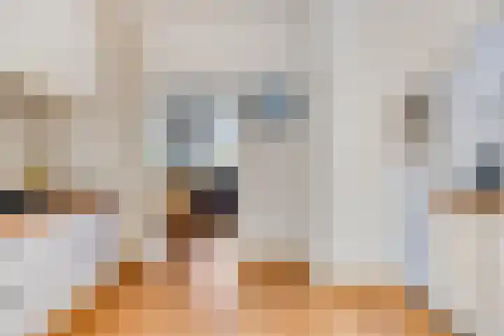 Molendijk 2 Stavenisse thumbnail 16