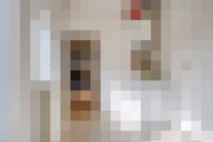 Molendijk 2 Stavenisse thumbnail 18