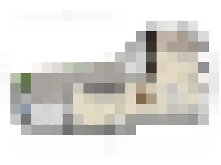 Molendijk 2 Stavenisse thumbnail 21
