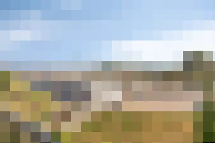 Molendijk 2 Stavenisse thumbnail 34